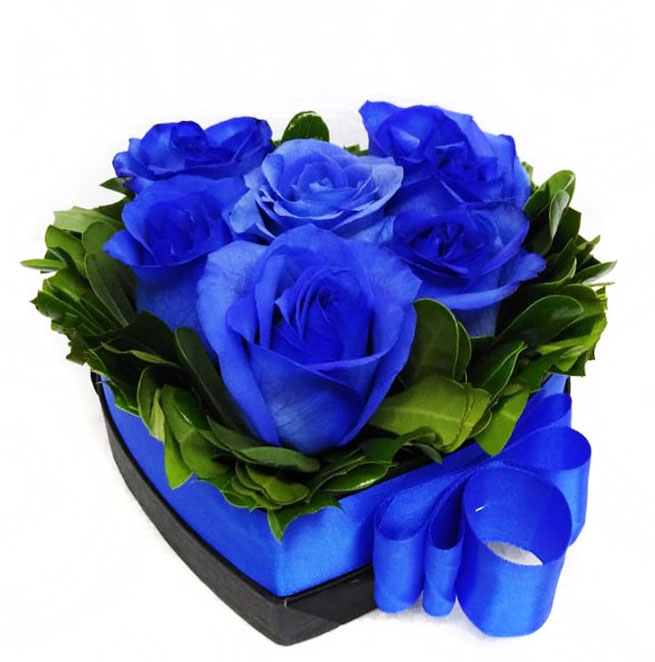 6 Rosas Azules en Caja Corazón 